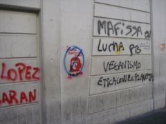 IMG 3584