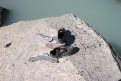 IMG 5656