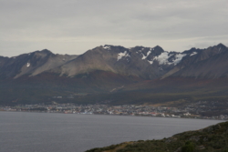 IMG 6498