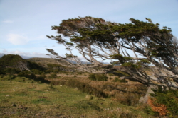 IMG 6521