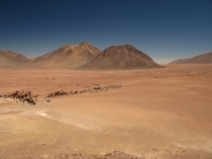 IMG 0354