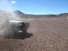 IMG 0381