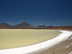 IMG 0439