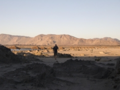 IMG 0641