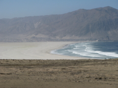 IMG 0684