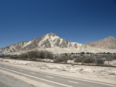 IMG 0709