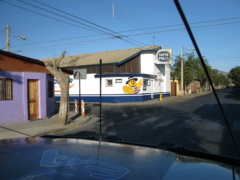 IMG 0729