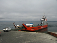 IMG 0829
