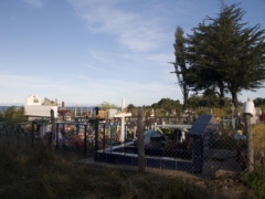 IMG 0915