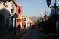 IMG 4976
