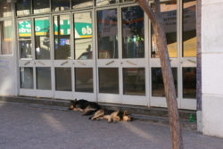 IMG 4979