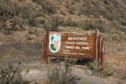 IMG 6055