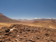 STA 0343
