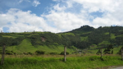 IMG 3095