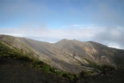 IMG 1308 (Large)