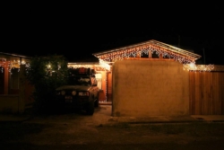 IMG 1331 (Large)