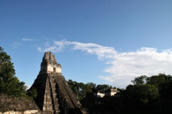 IMG 0785