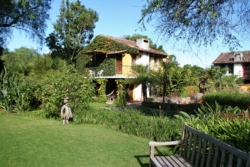 IMG 0875