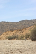 IMG 2744