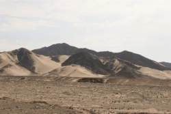 IMG 3041 (Large)