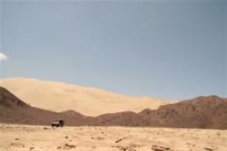 IMG 3272 (Large)