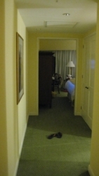 IMG 3322