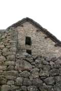 IMG 3331 (Large)