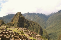 IMG 3441 (Large)