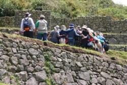 IMG 3447 (Large)