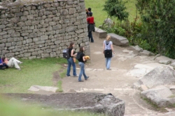 IMG 3514 (Large)