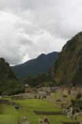 IMG 3551 (Large)