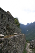 IMG 3573 (Large)