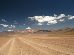 IMG 0276