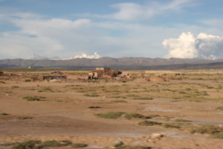 IMG 4218