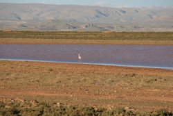 IMG 4263