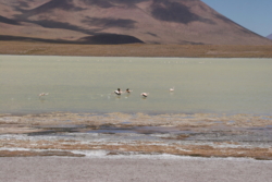 IMG 4509