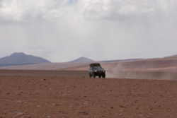 IMG 4553