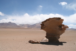 IMG 4568