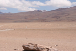 IMG 4569