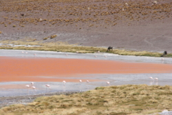 IMG 4582