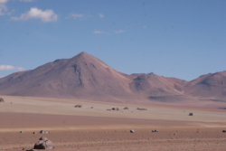 IMG 4598
