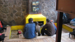 IMG 3181